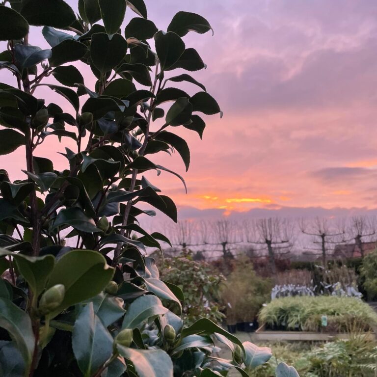 Zonsondergang